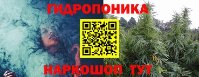 ГАЛЛЮЦИНОГЕННЫЕ ГРИБЫ Можга