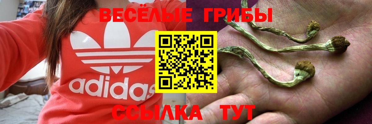 Галлюциногенные грибы мицелий Чайковский